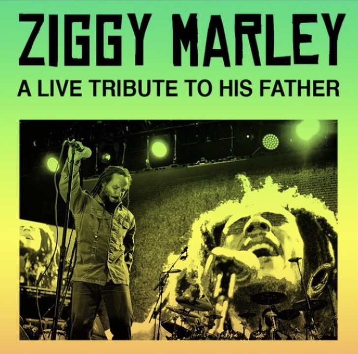 Ziggy Marley Tour 2025