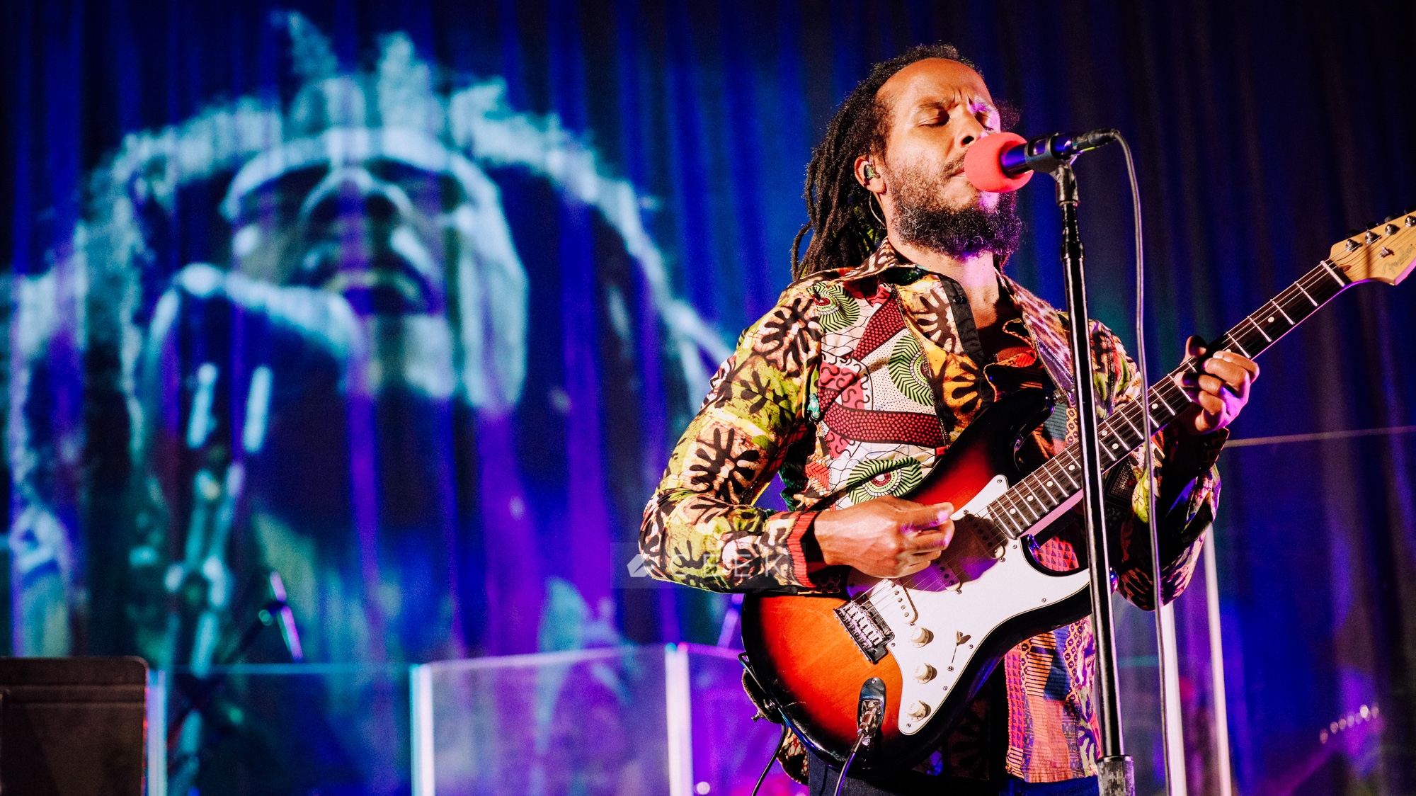 ziggy marley on tour